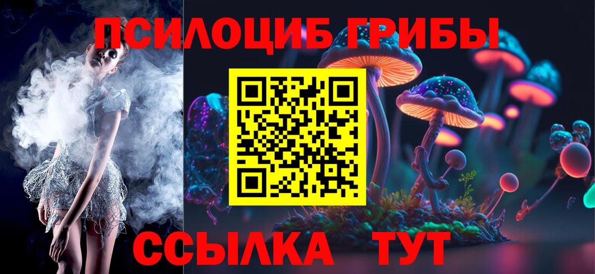 Псилоцибиновые грибы мицелий Южноуральск